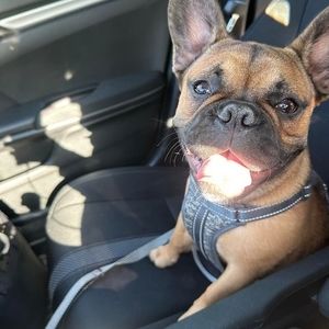 Meet your Posher, Greg